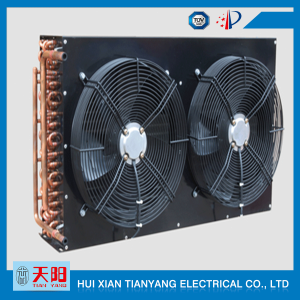 Condenser for double duct cold storage